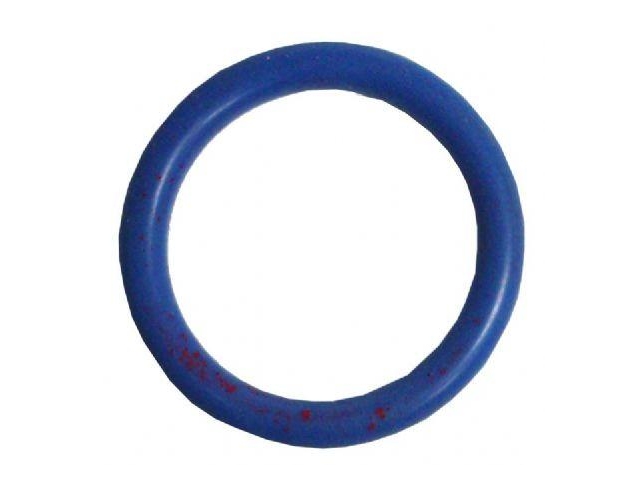 GM O-Ring Seal, Blue - Click Image to Close