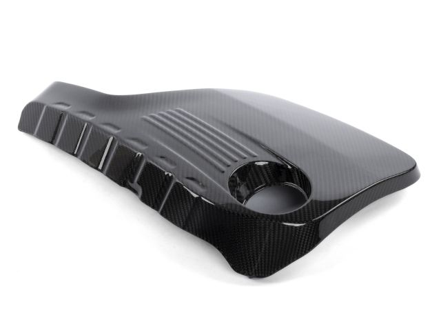 DINAN Carbon Fiber Engine Cover (2015-2021 BMW M2 COMPETITION, M3 & M4)