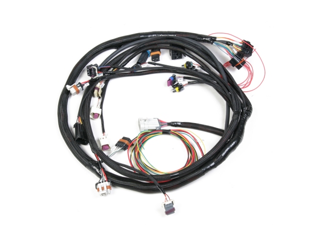 Holley EFI Universal MPFI Main Harness