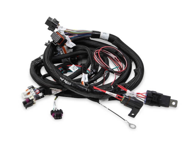 Holley EFI Main Harness (GM LS 24X)