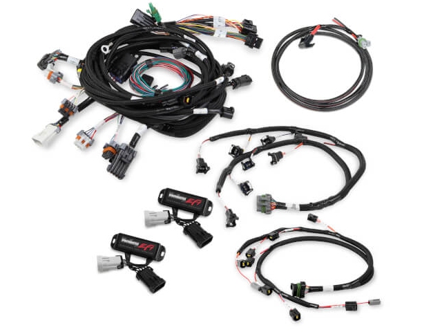 Holley EFI Harness Kit (1999-2004 FORD 2V MOD)