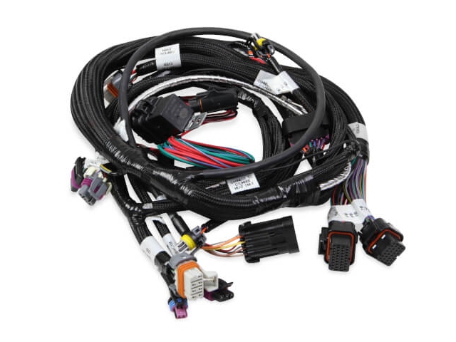 Holley EFI Main Harness, 58X (GM LS)