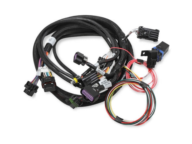 Holley EFI TERMINATOR EFI 2x4 Main Harness