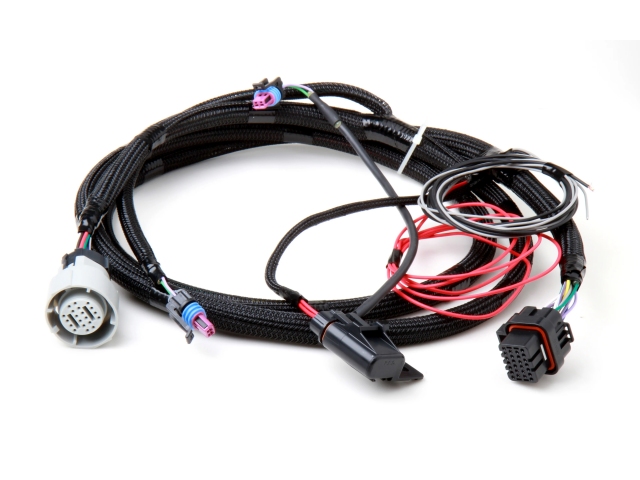Holley EFI TRANSMISSION CONTROL HARNESS (GM 4L60 & 4L80)