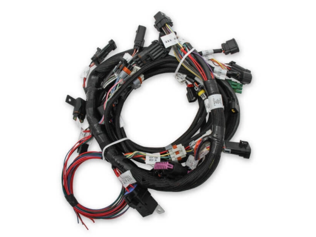 Holley EFI Ti-VCT Harness Kit (FORD 5.0L COYOTE)