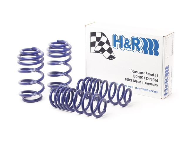 H&R Sport Springs, 1.0" Front & 0.8" Rear (2013-2017 Audi SQ5) - Click Image to Close