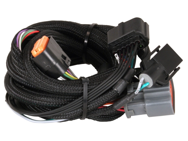 MSD Atomic FORD Transmission Controller Harness (1998+ FORD 4R100)