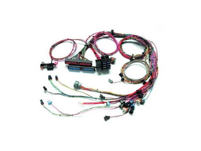 PAINLESS GM Sequential Fuel Injection Harness (1999-2002 GM LS1)