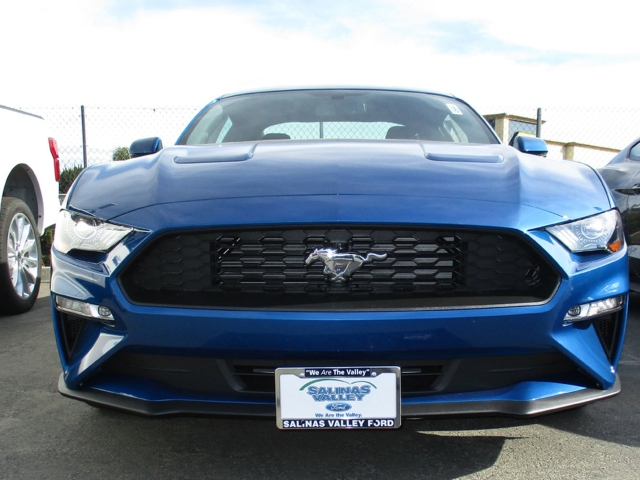 STO N SHO Detachable Front License Plate Bracket (2018-2019 Mustang) - Click Image to Close