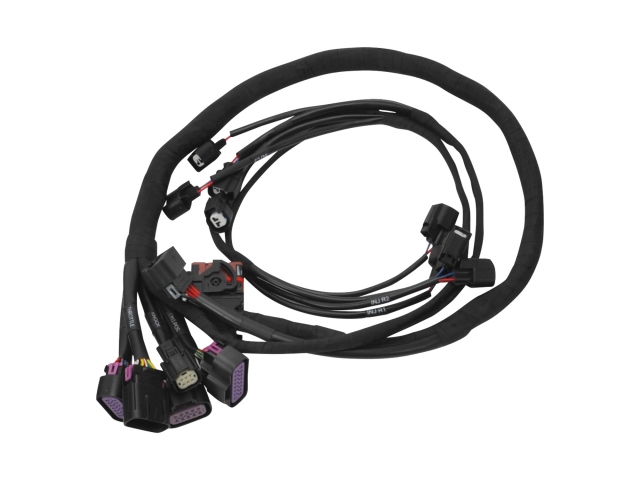 Edelbrock PRO-FLO 4+ ENGINE MANAGEMENT SYSTEM (2015-2017 FORD COYOTE) - Image 4
