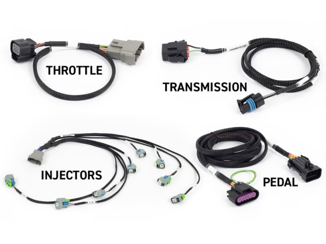 Haltech NEXUS REBEL LS (GEN IV) - Image 2